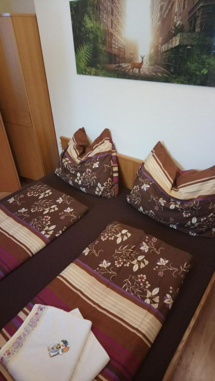 شقة Haus Wastl روسباخ أم باس غشوت المظهر الخارجي الصورة
